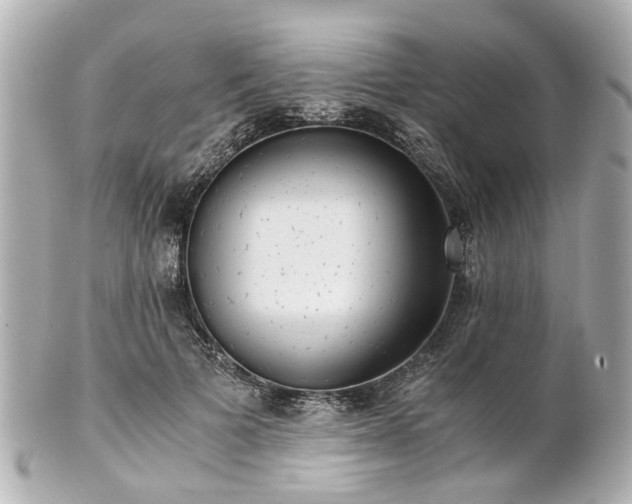 X0000100900697200807011221