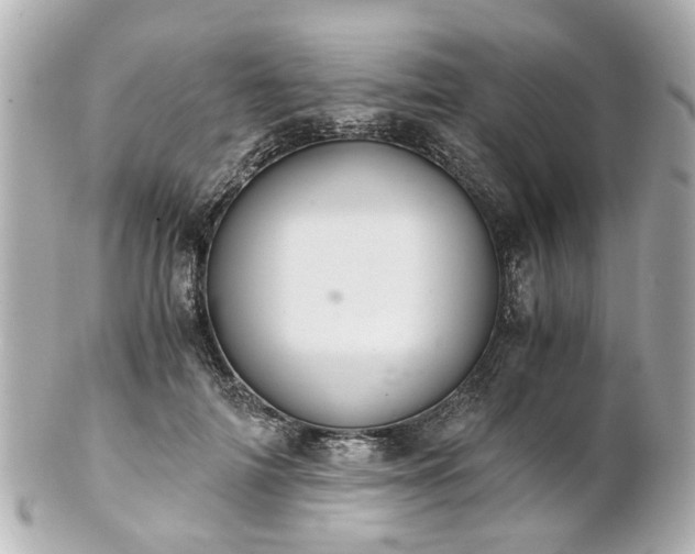 X0000100900698200807011221