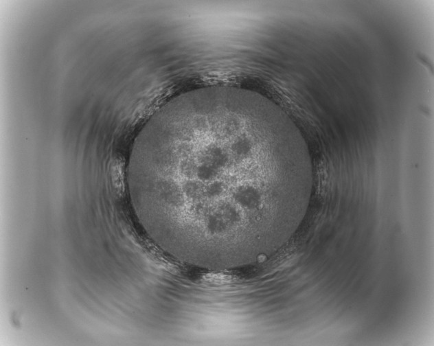 X0000100900699200807011221