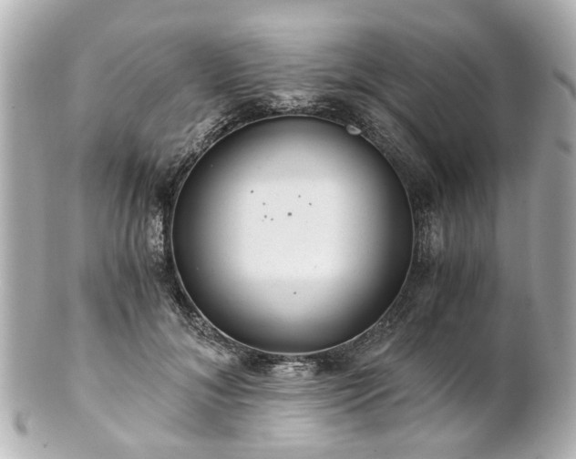 X0000100900700200807011221