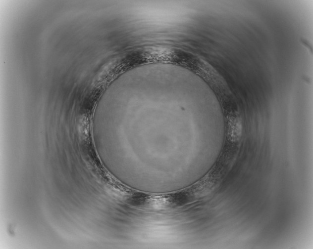 X0000100900701200807011221