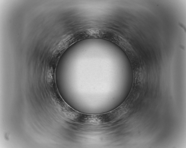 X0000100900702200807011221