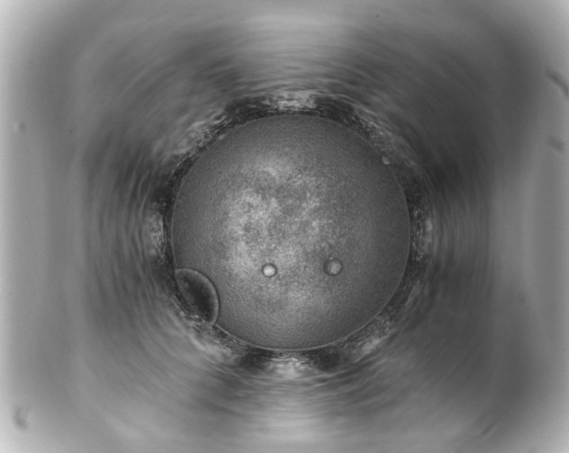 X0000100900704200807011221