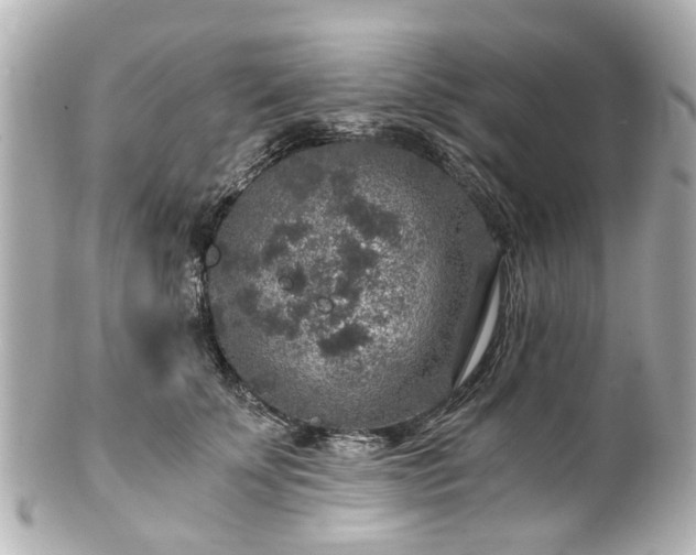 X0000100900707200807011220