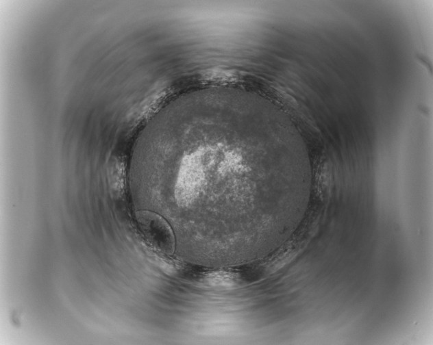 X0000100900708200807011220