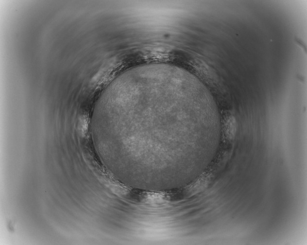 X0000100900709200807011220