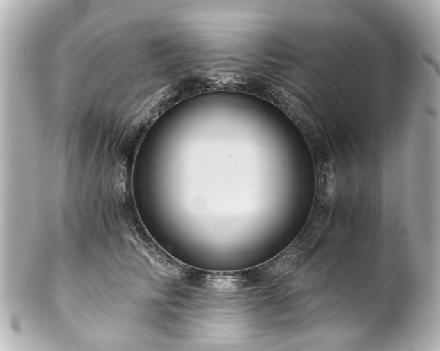 X0000100900710200807011220