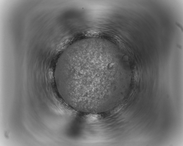 X0000100900711200807011220