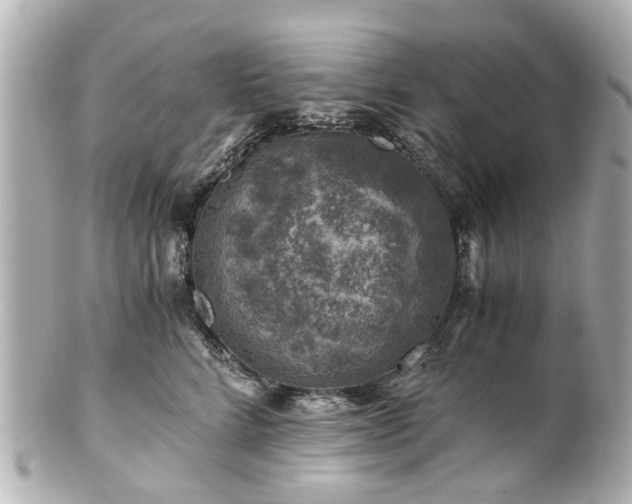 X0000100900712200807011220