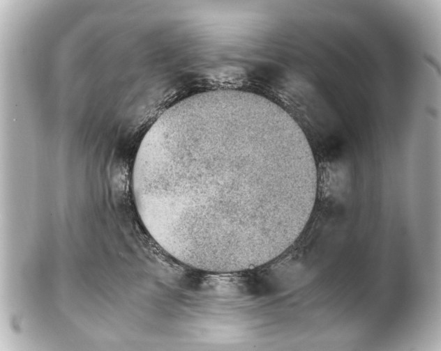 X0000100900713200807011220