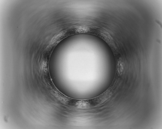 X0000100900714200807011220