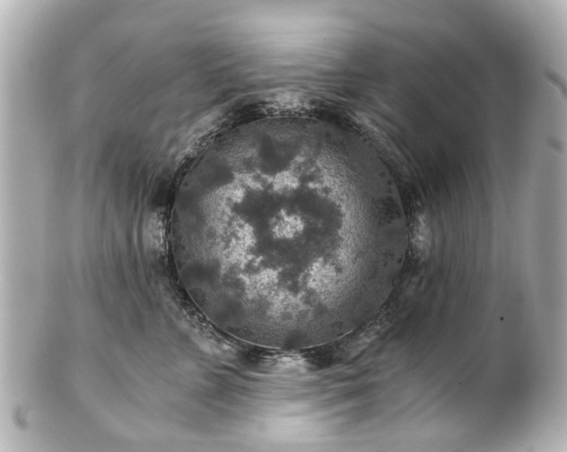 X0000100900715200807011220