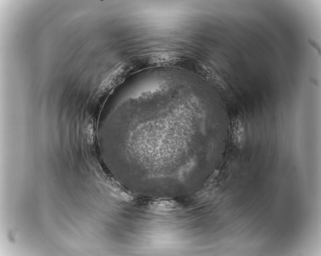 X0000100900716200807011220