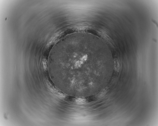 X0000100900718200807011220