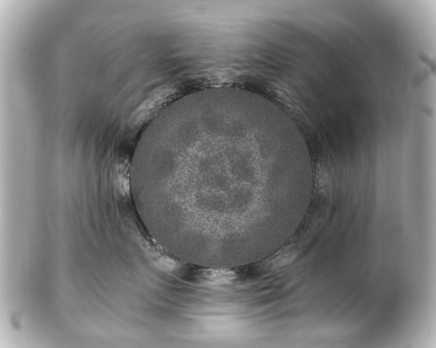 X0000100900719200807011220