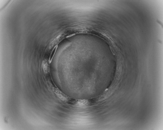 X0000100900720200807011220