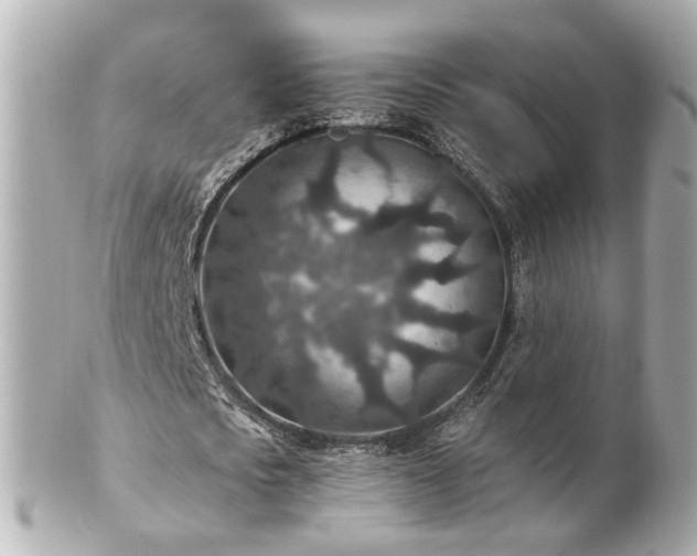 X0000100900721200807011220