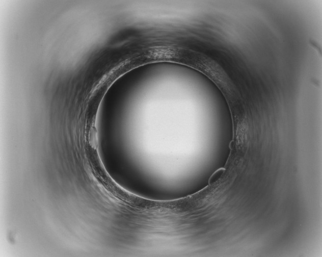 X0000100900722200807011220