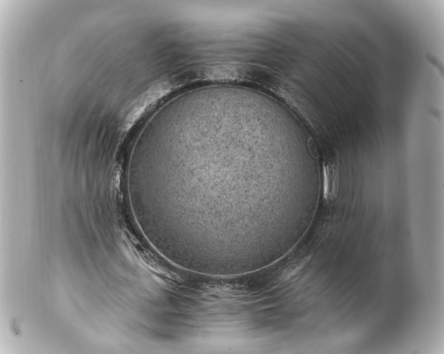 X0000100900723200807011220