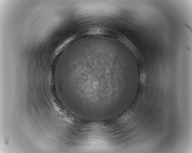 X0000100900724200807011220