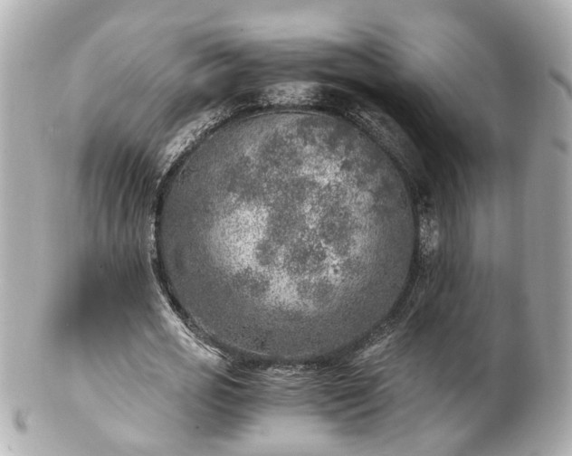 X0000100900725200807011220