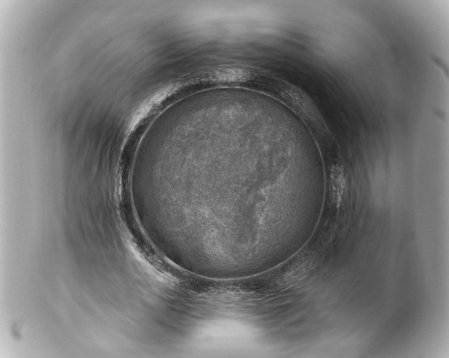 X0000100900726200807011220