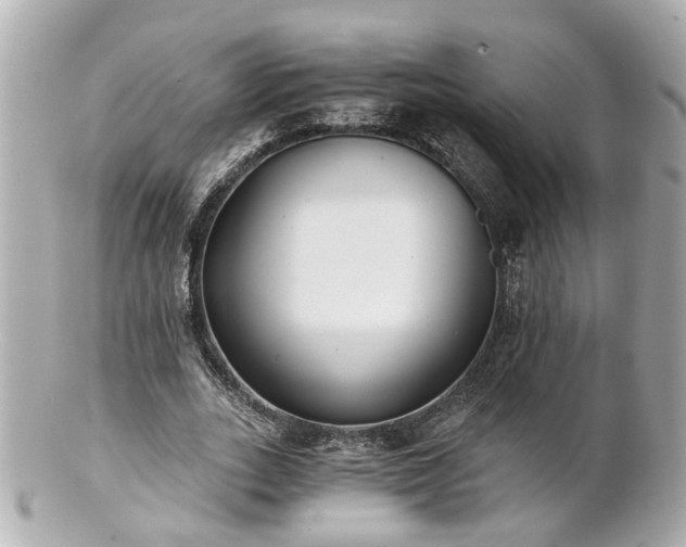 X0000100900727200807011220