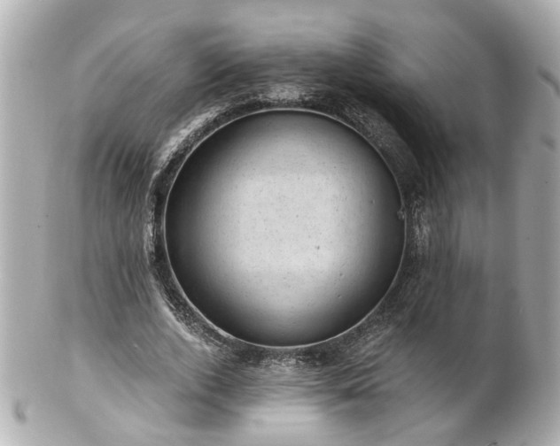 X0000100900728200807011220