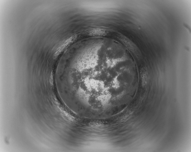 X0000100900729200807011220