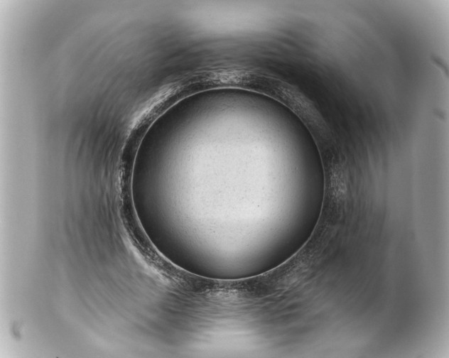 X0000100900730200807011220