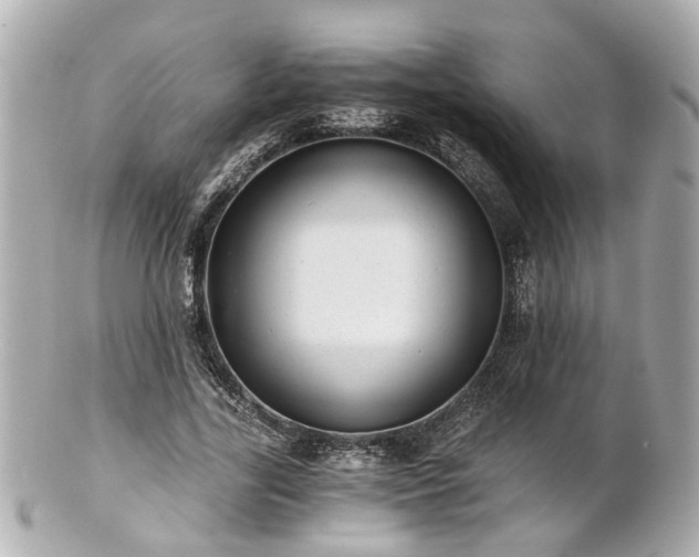 X0000100900731200807011220