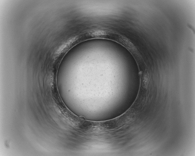 X0000100900732200807011220