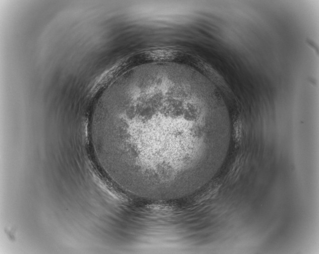 X0000100900733200807011220