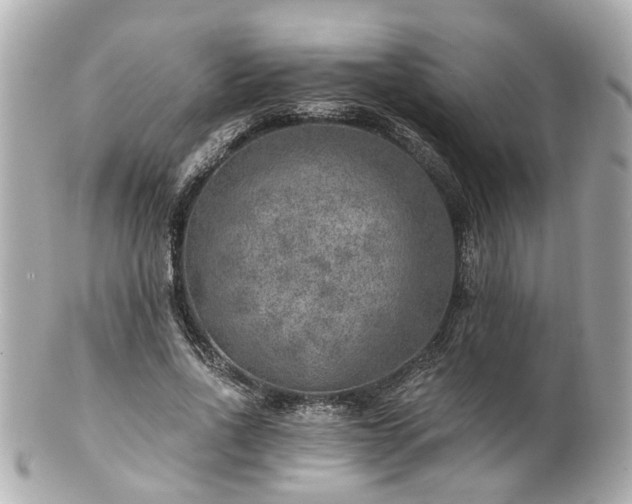 X0000100900734200807011220