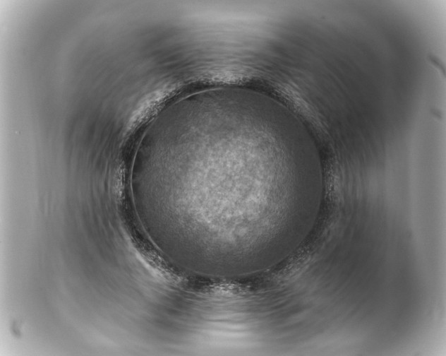 X0000100900736200807011220