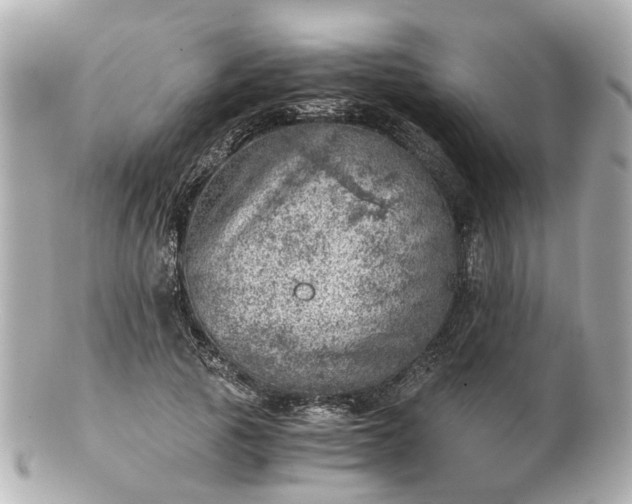 X0000100900737200807011220