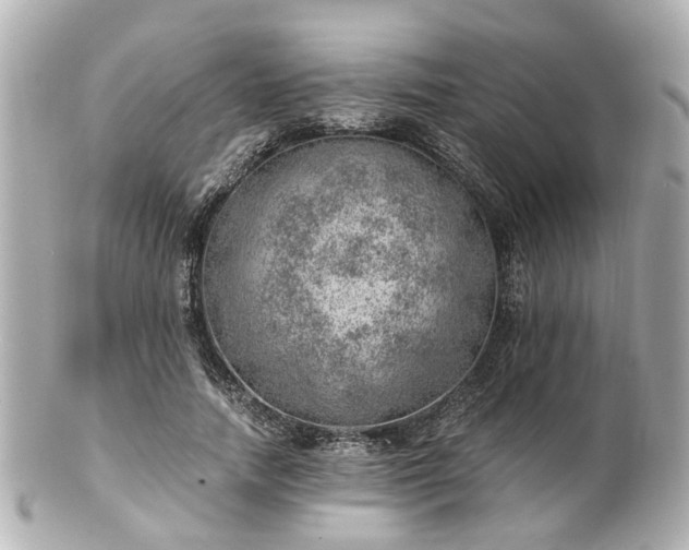 X0000100900738200807011220