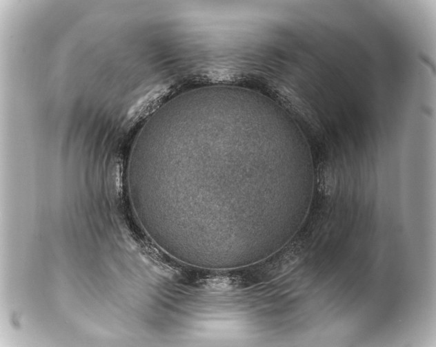 X0000100900740200807011220