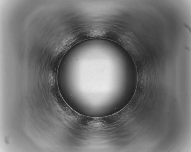 X0000100900743200807011220