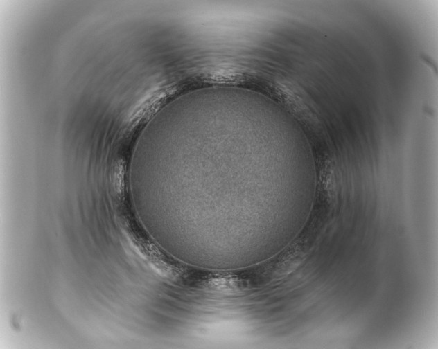 X0000100900744200807011220