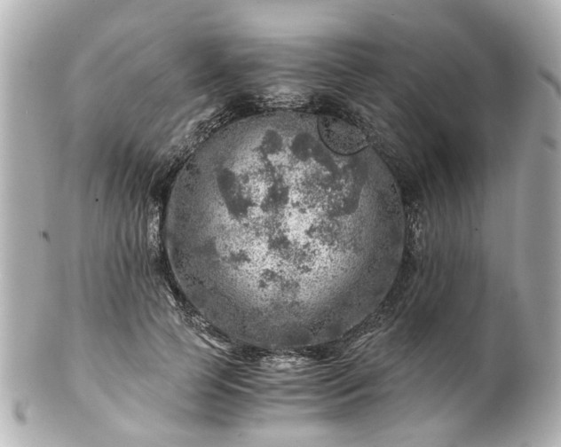 X0000100900745200807011220