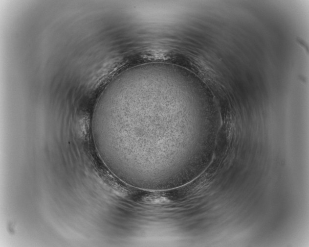 X0000100900747200807011220