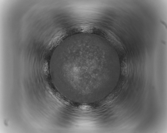 X0000100900748200807011220