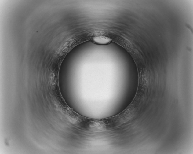 X0000100900750200807011220