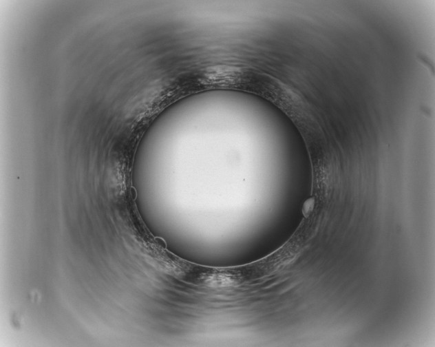 X0000100900751200807011220