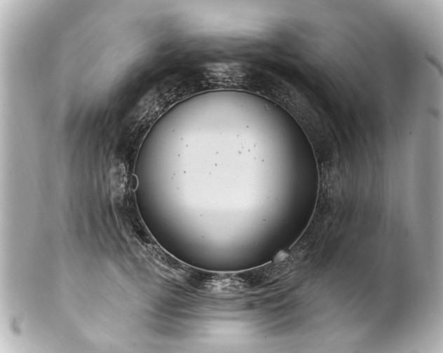 X0000100900752200807011220