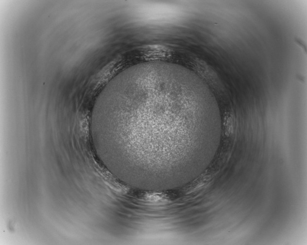 X0000100900753200807011220