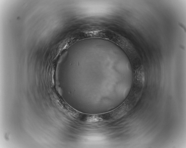 X0000100900754200807011220