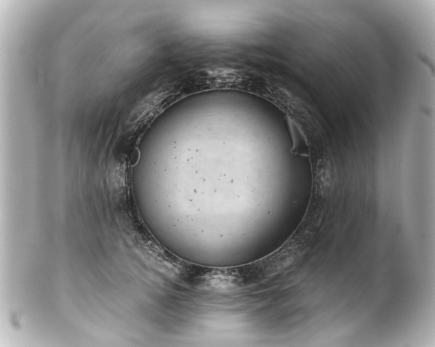 X0000100900756200807011220