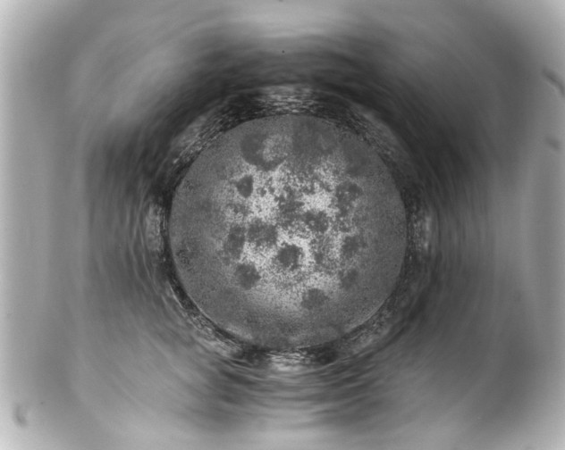 X0000100900757200807011220